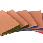 Redweld File Pocket - Tyvek Colored Gussets 1536KGT-C -Size: 10" x 15"
