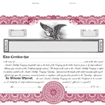 Goes KG9 LLC Certificates-Maroon-11"x8.5"