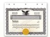 Goes MX Stock Certificates