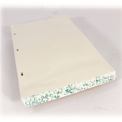 Minute Book Filler Paper 14" White w/ Green Speckled Edge