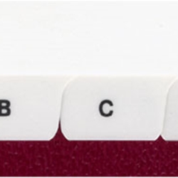 11374B Alpha, A-Z BOTTOM 10th Cut