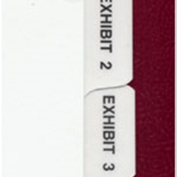 11378 Numerical, EXHIBIT 1-100