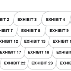 11378B Numerical, EXHIBIT 1-100, BOTTOM 5th Cut