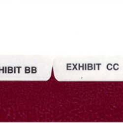 P11376B Alpha, EXHIBIT AA-ZZ