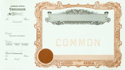 Stock Certificate 174 Custom Printed