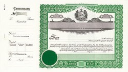Stock Certificate 213 Custom Printed