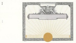 Stock Certificate GOES 47 Custom Printed