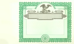 Stock Certificate 533 Custom Printed